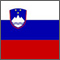 Slovene flag (square).jpg